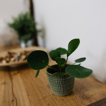 90 M2 Horsky Apartman V Centru Harrachova Ngoại thất bức ảnh
